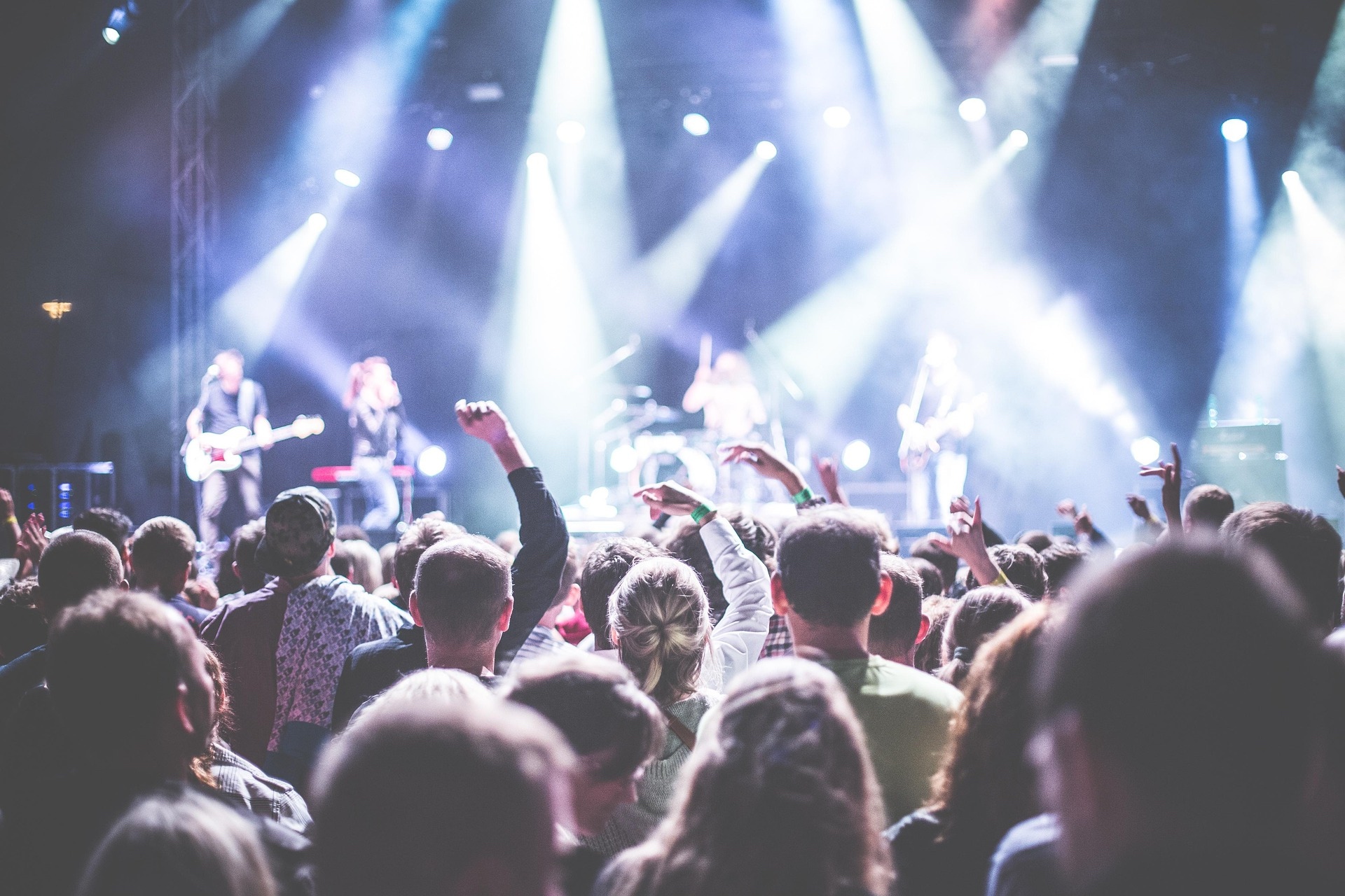 Concerts & Live Shows
