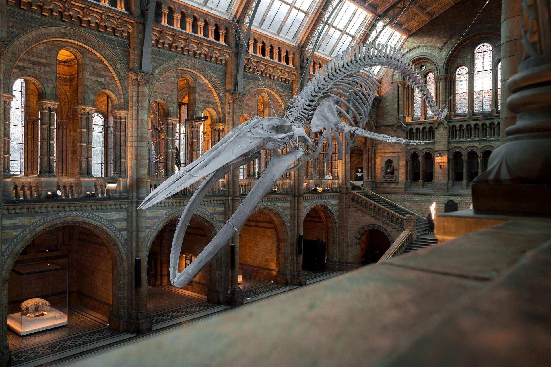 Events & Exhibitions