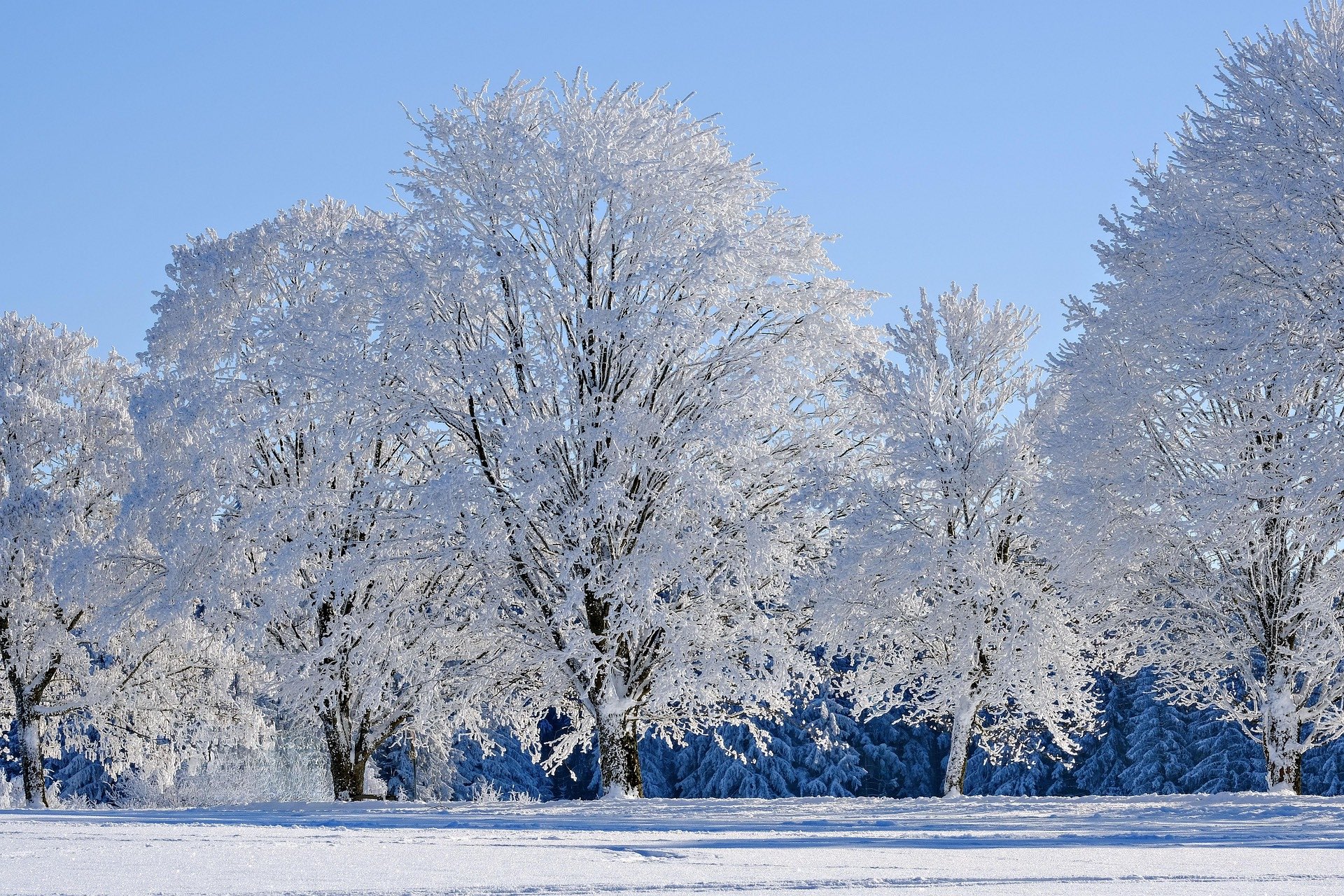 January