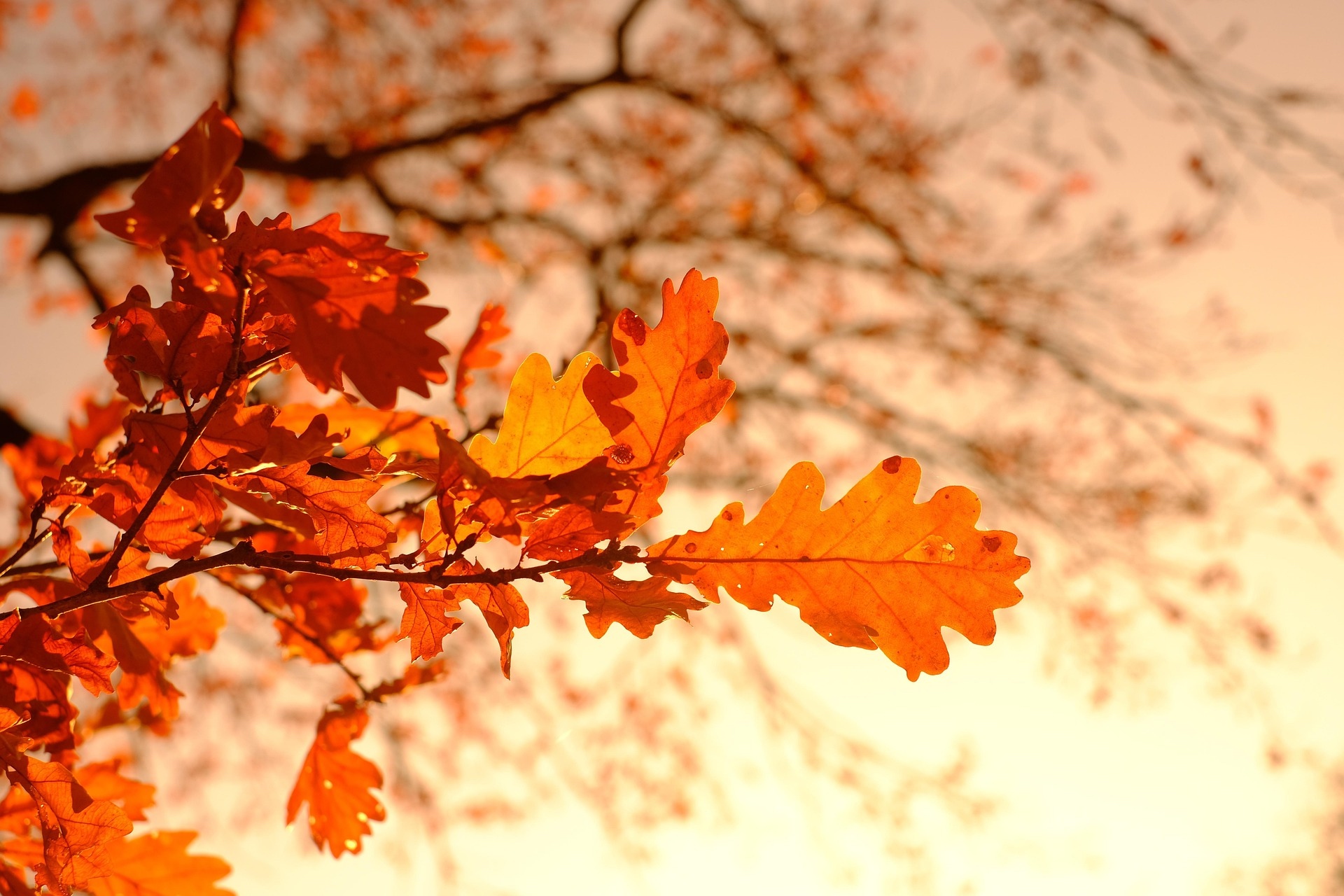 October