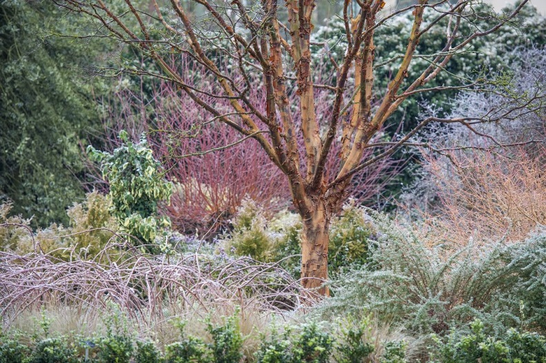 Cambridge and Winter Botanic Gardens