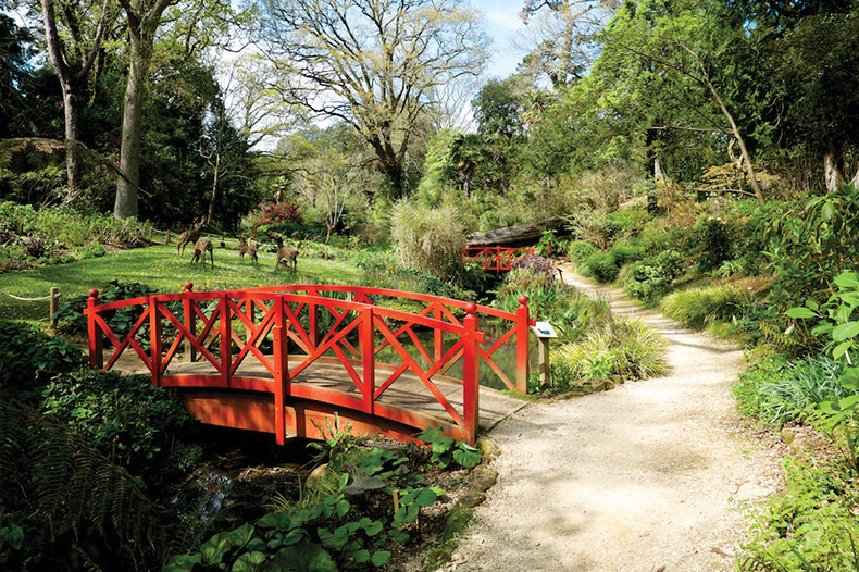 Wonderful Weymouth & Abbotsbury Subtropical Gardens 