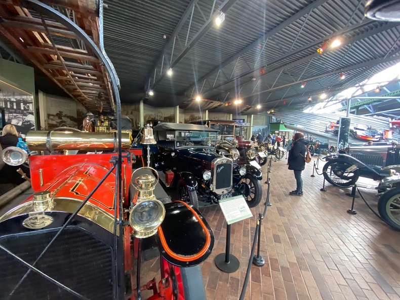 Springtime in the New Forest & Hampshire 