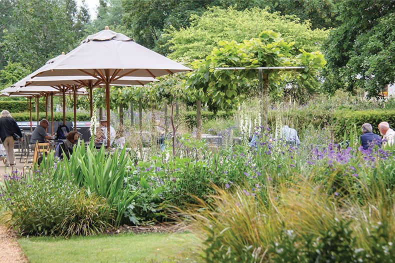 Cambridge and University Botanical Gardens 