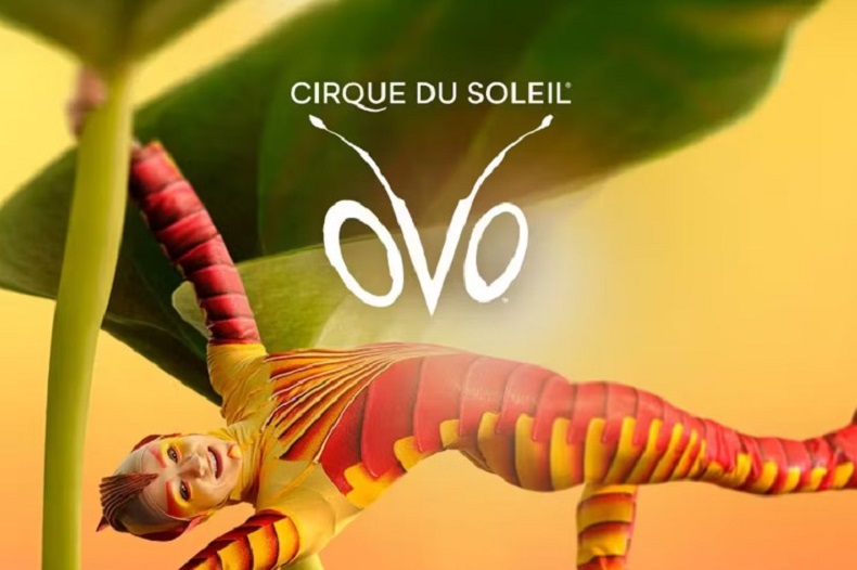 Cirque Du Soleil - Ovo at the Royal Albert Hall
