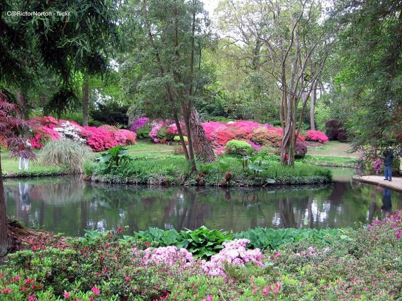 Beautiful Bournemouth, Mottisfont House & Exbury Gardens 