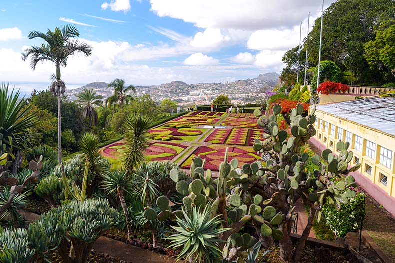 Madeira - Island of Eternal Spring 
