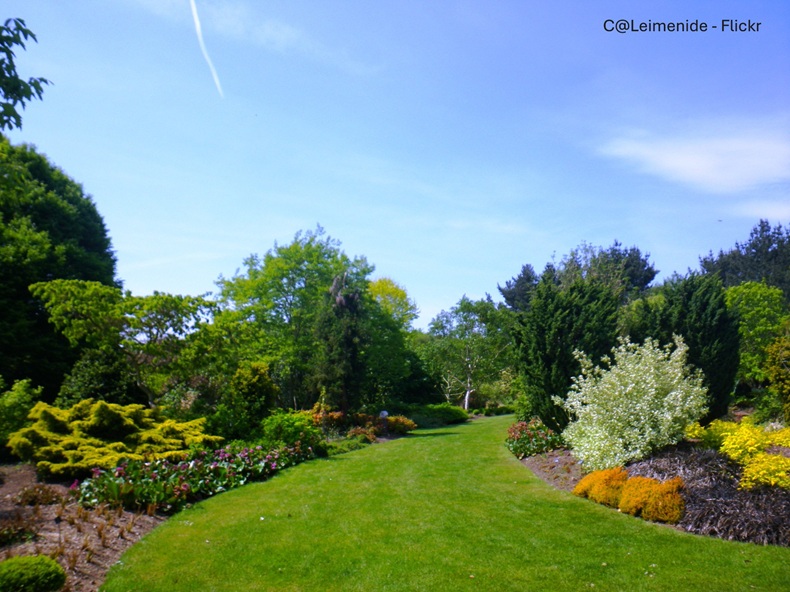 Historic Salisbury & the Gardens of Hampshire