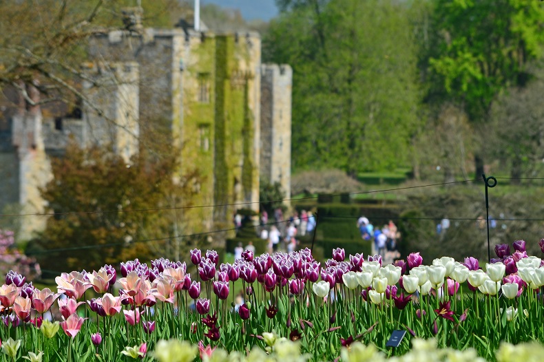 Celebration of Spring at Hever Castle with Lunch