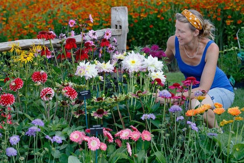 RHS Hyde Hall Flower Show 