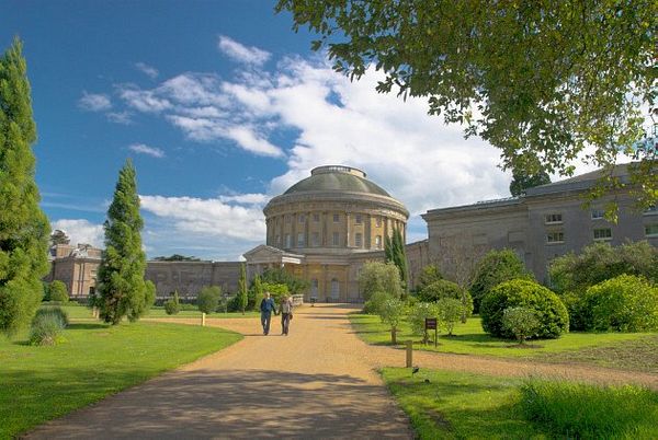 Ickworth House Snowdrops & Bury St. Edmunds Market