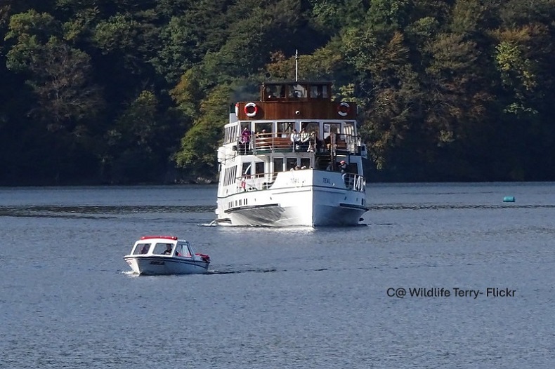 Highlights of the Lake District & Mountain Goat 