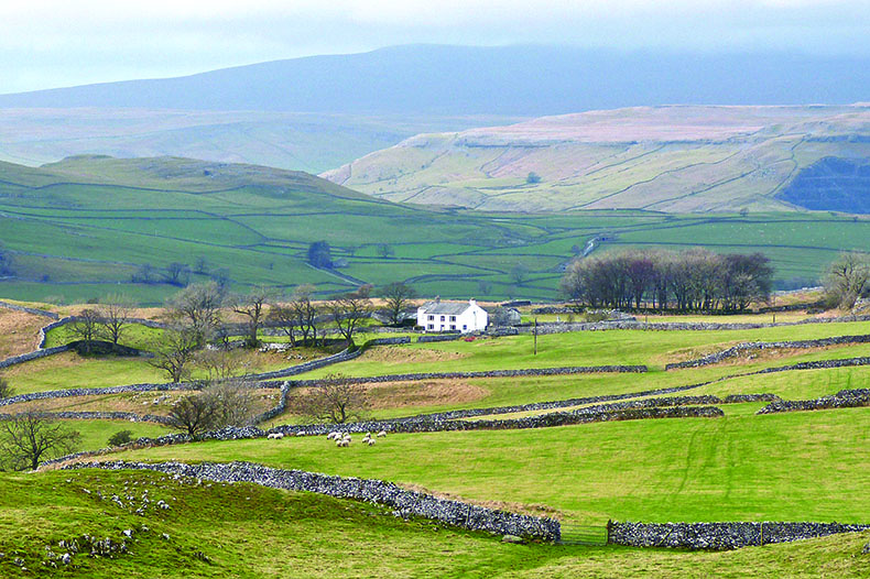 Lancashire Hotpot & RHS Bridgewater 