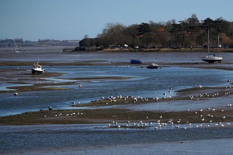 Eastons Ramblers - Manningtree, Walking with Witches