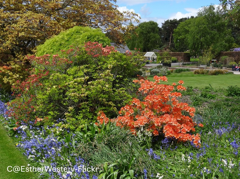 Charming Cheshire & The Wirral Peninsula 