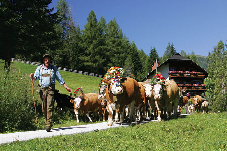 Highlights of the Tyrol & Almabtreib Cow Festival 