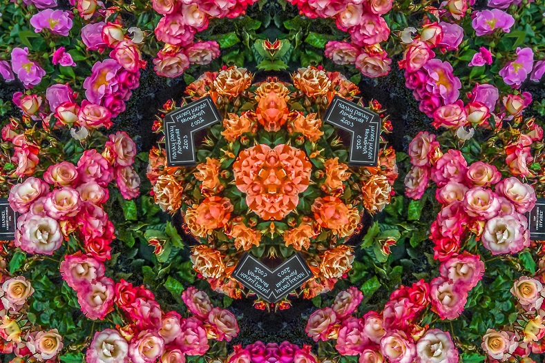 Sandringham Flower Show - via Dereham