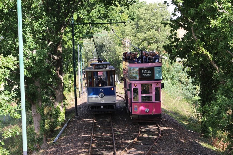 Highlights of Devon & Historic Powderham Castle 