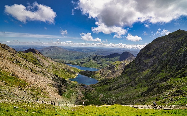 Llandudno Holly & Mistletoe 