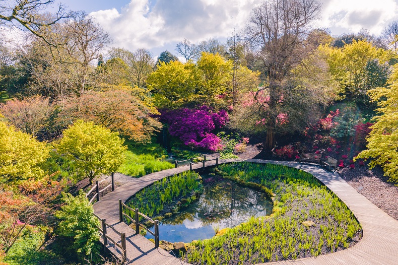 RHS Wakehurst
