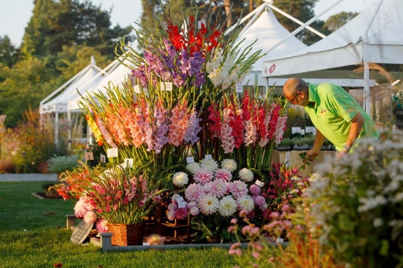 RHS Wisley Flower Show