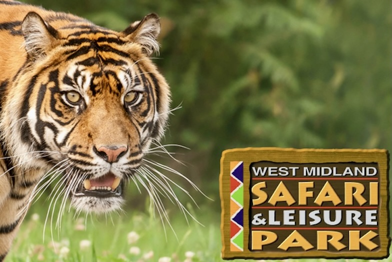 West Midlands Christmas Safari with Lunch